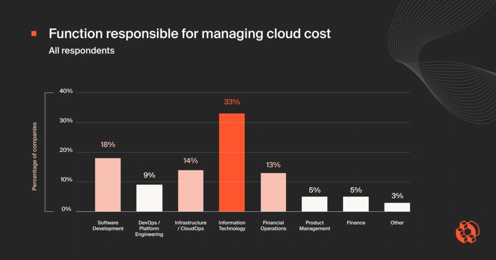 Function Responsible For Managing Cloud Cost