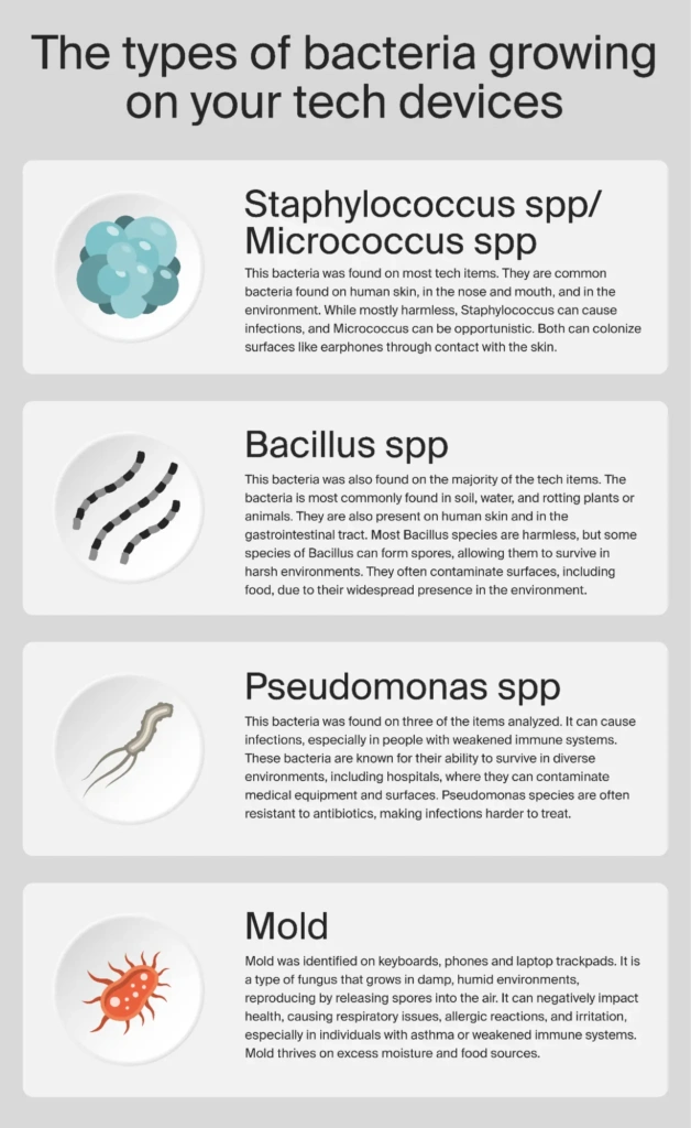 The types of bacteria growing on your tech devices